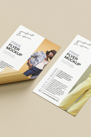flyer, volante, folletos